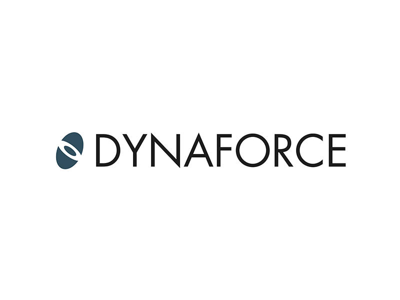 Dynaforce 800x600