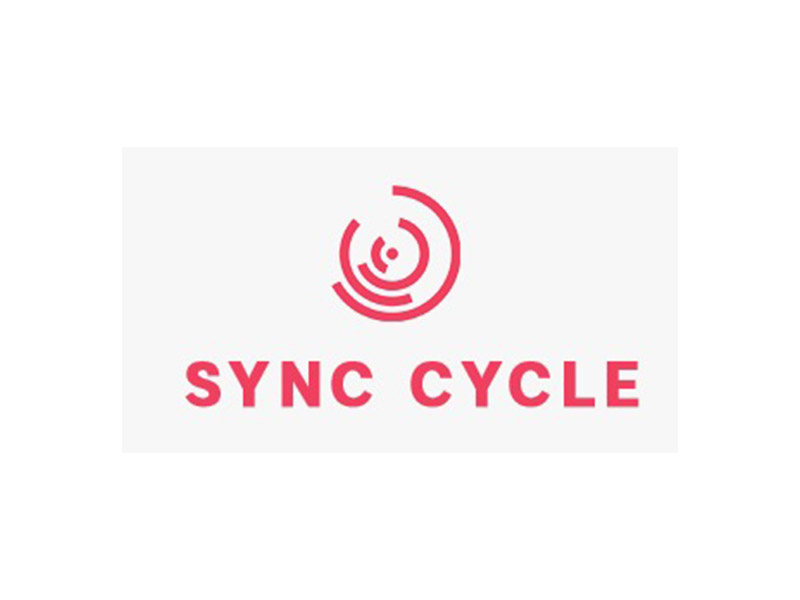 Sync Cycle 800x600